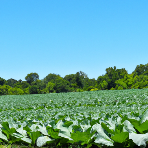 organic-farming-its-environmental-impact-bowlsunset