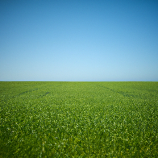 A green field of crops with a horizon of blue sky.