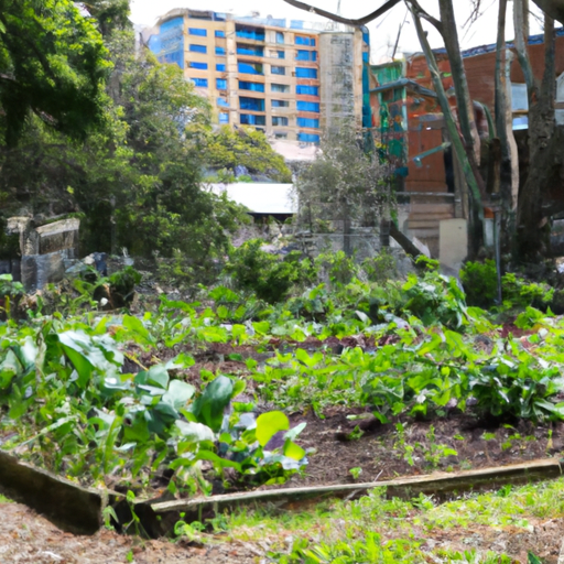 A large green vegetable patch in an urban environment, with a variety of plants and vegetables growing.